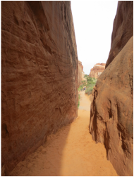 Narrow sandstone canyon
