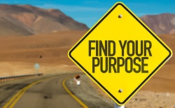 Road sign saying, "Find Your Purpose"