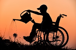 person watering a flower from a wheelchair