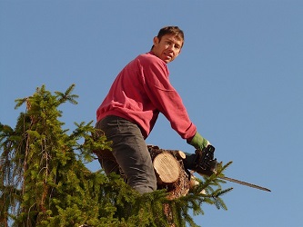 man with chainsaw topping off a tree