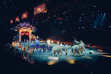 circus with elephants and performers