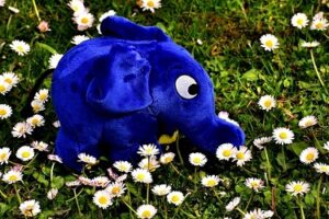 Beanie baby elephant on the grass surrounded by daisies